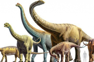 Najveći dinosauri Najveći dinosauri